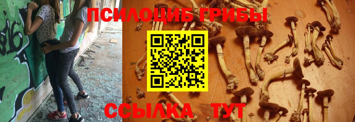Галлюциногенные грибы GOLDEN TEACHER Тара