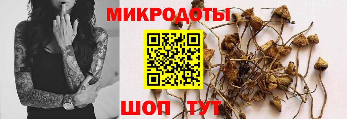 Тара  Галлюциногенные грибы GOLDEN TEACHER  сколько стоит  Вход с VPN 