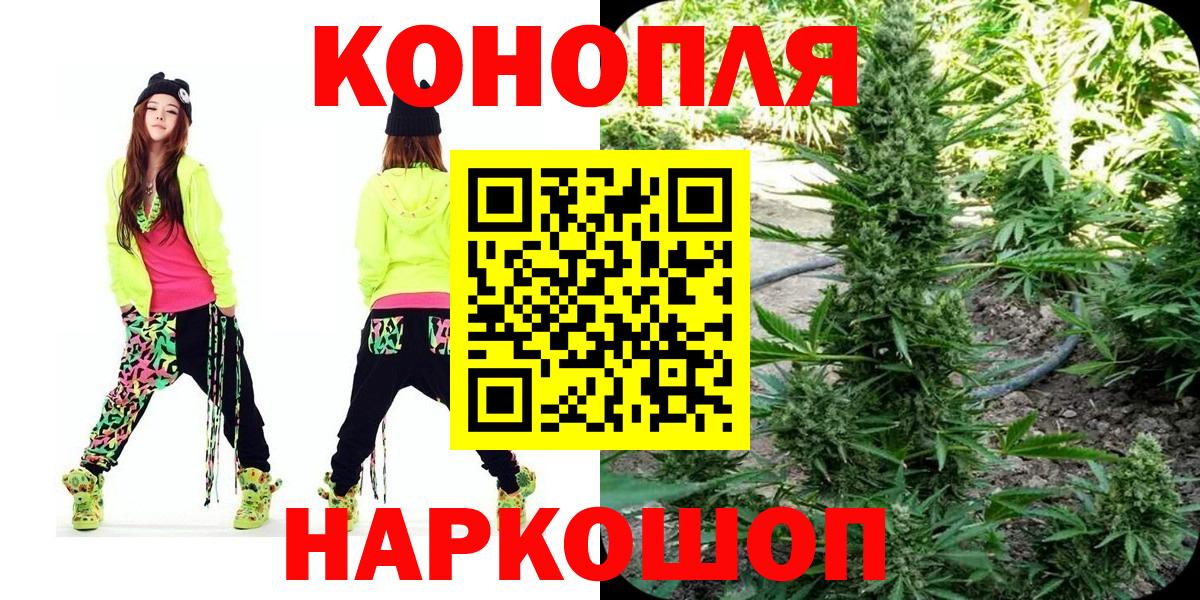Тара  Бошки марихуана Ganja  Конопля гибрид  Вход с VPN 